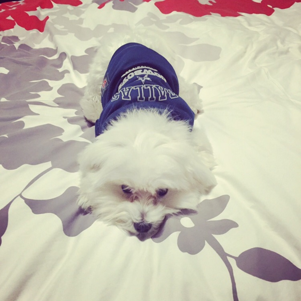 Meet your Posher, Erika